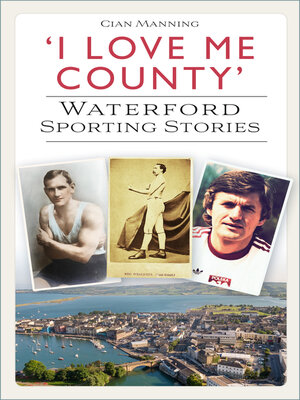 cover image of 'I Love Me County'